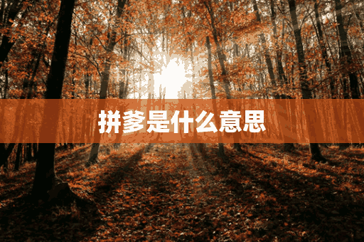 拼爹是什么意思(拼爹是什么意思啊)